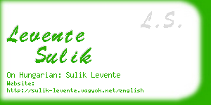 levente sulik business card